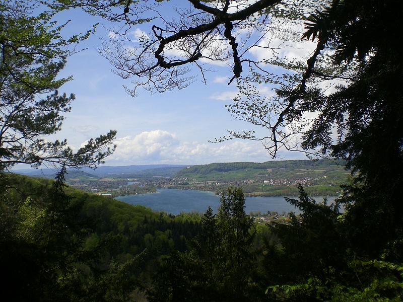 Klingenzell_Liebenfels_01_05_08 014.JPG